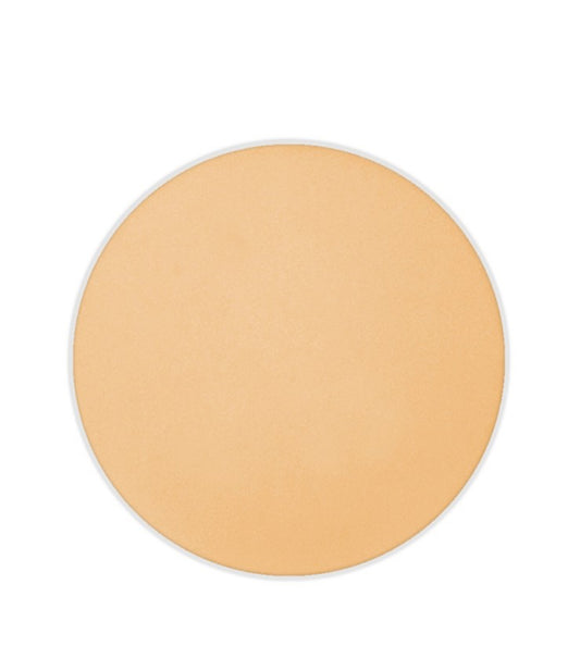 Wet/Dry-Dual Foundation - ANTIQUE BEIGE 041